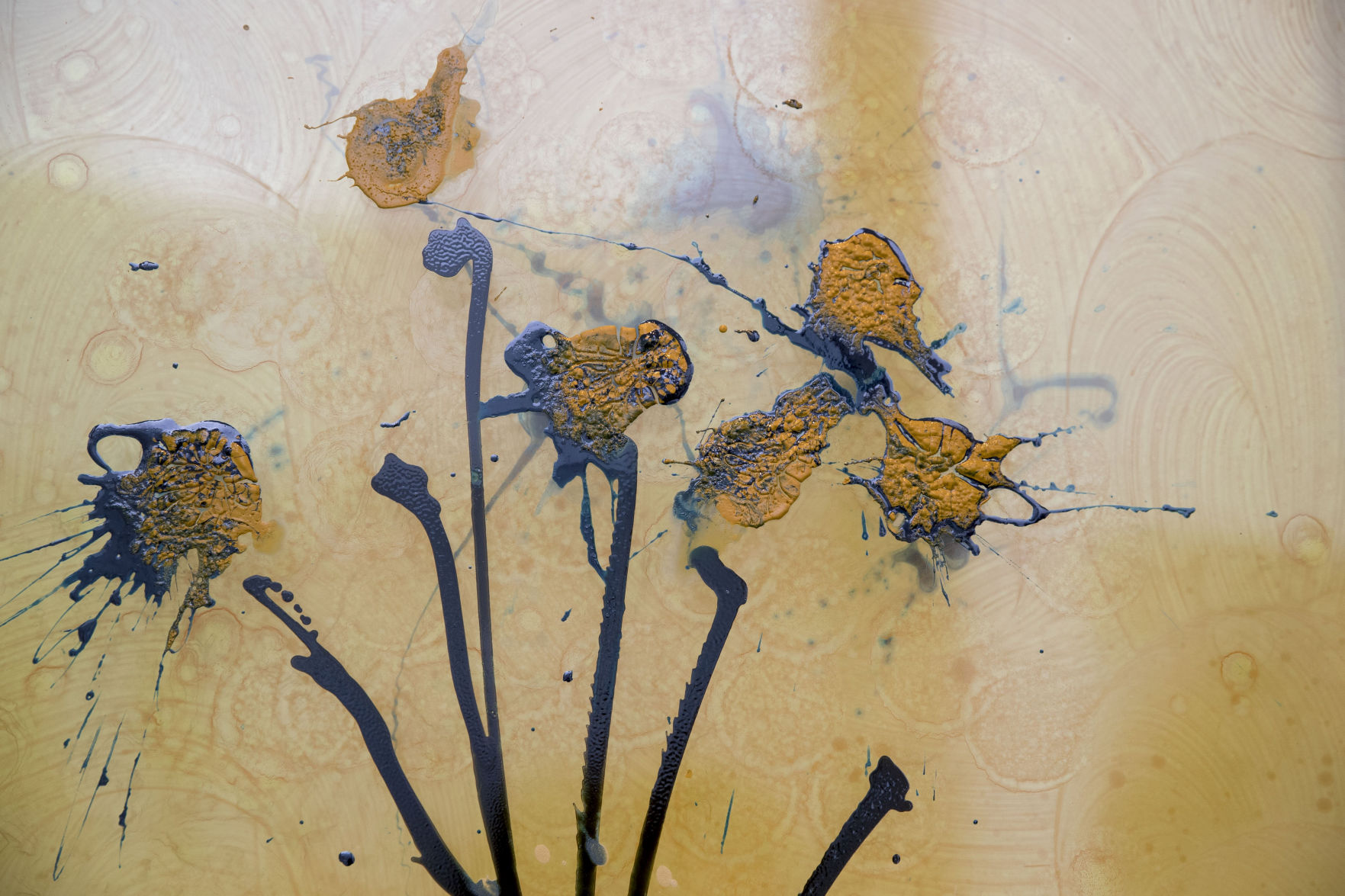 Chihuly art